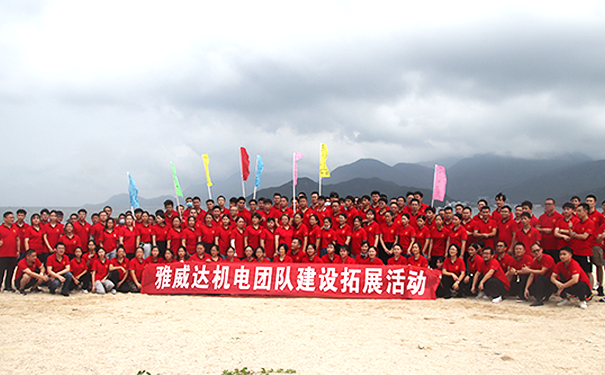上银91香蕉视频在线看代理商